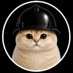 GROKCAT — a ginger cat in a black hard hat
